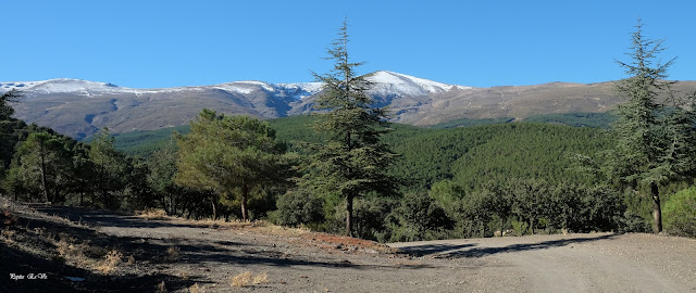 Umbría la Mata, Sierra Nevada