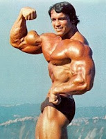 Arnold Schwarzenegger Biceps