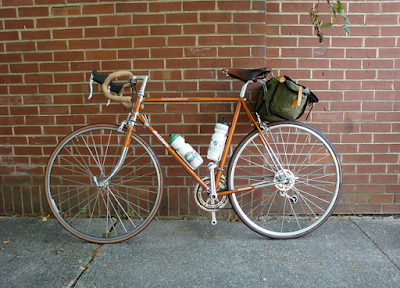 Nelson Longflap Carradice on Raleigh