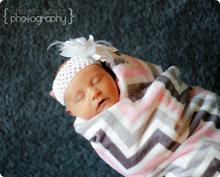 IMG_5116ed-8x10ed