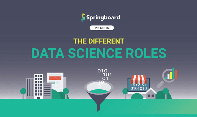 The Different Data Science Roles