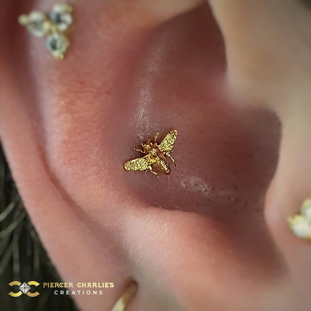 18k Gold Piercing Jewelry.