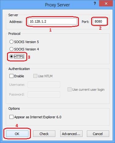 Proxifier - Add HTTPS Proxy