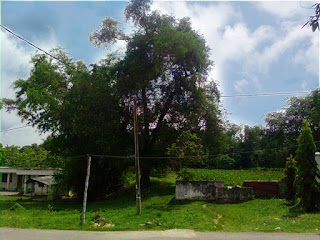 Wisata Gresik – Gunung Surowiti dengan Misteri