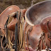 Horse Training: Head bobbing horse no longer!