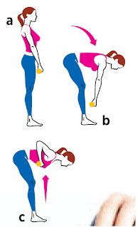 Straight-Leg Deadlift with Row all fitness Hold a pair of dumbbells in front of your thighs and stand with your feet hip-width apart (a). Bend forward and lower the weights until your back is parallel to the ground, keeping your back flat and weights close to your body (b), then bend your elbows and pull the dumbbells up toward your chest (c). Return to start. That’s one rep.