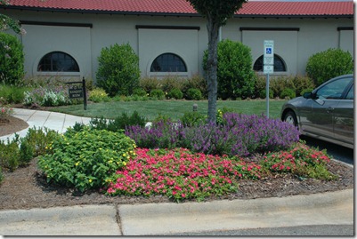 Flowers outside Childress Vine