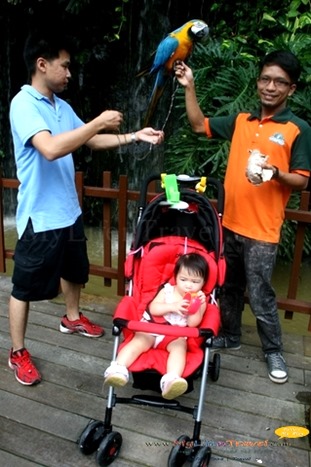 Langkawi Wildlife Park