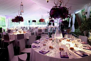 Wedding decoration, saloons Decorations in Purple