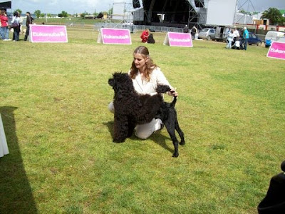 Monograph of the Portuguese Water Dog