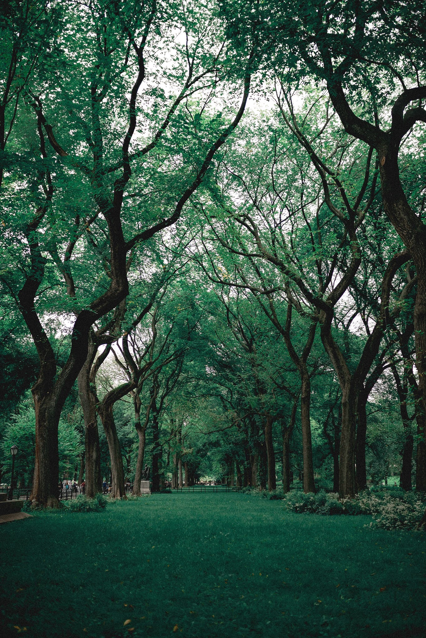 nature wallpapers kodak BlogSpot