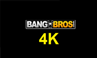 BANGBROS 4K | + EXTRA SUBS | 30 DAYS WARRANTY