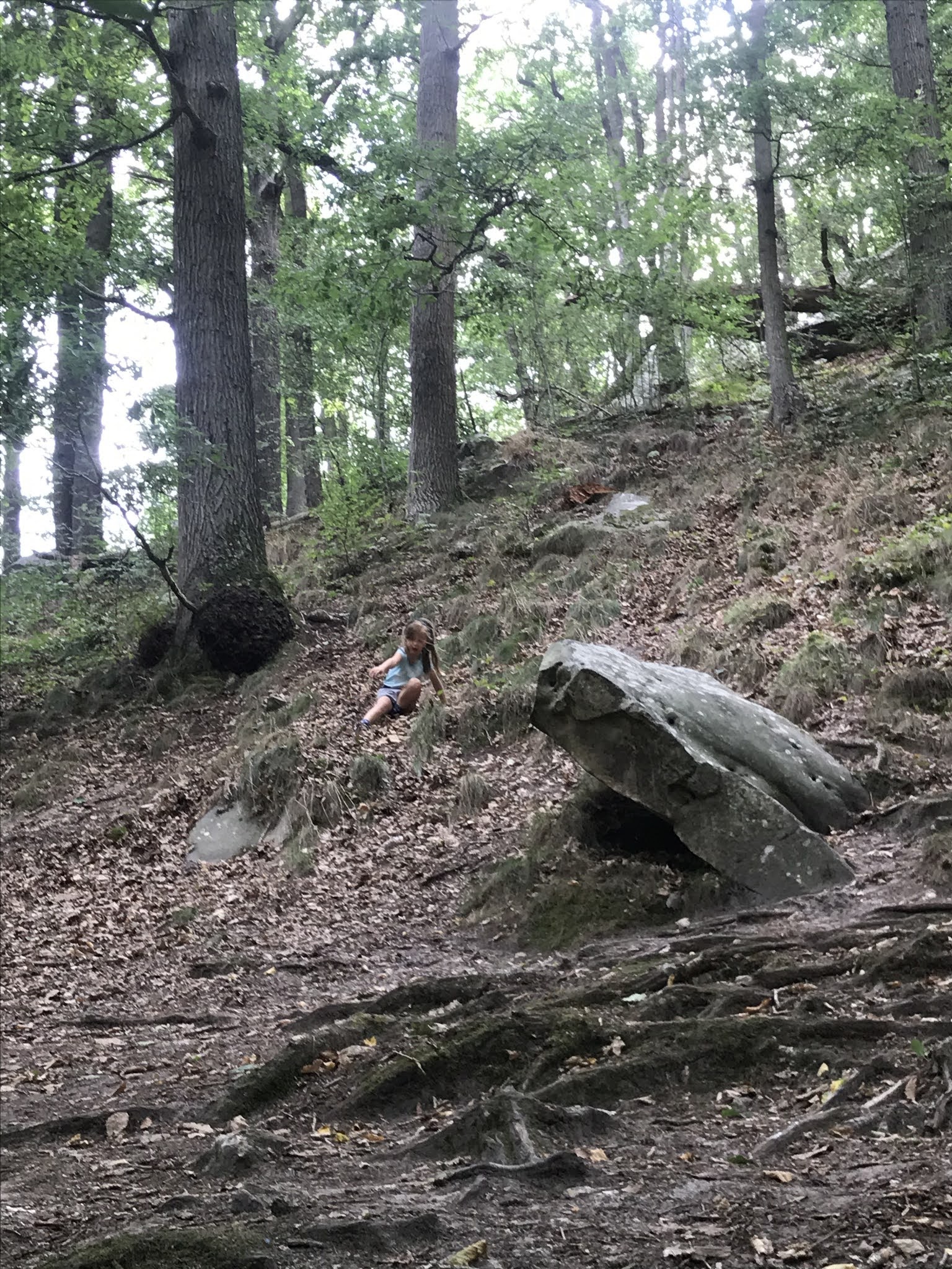 Cascade du Petit Moulin des Vaux de Cernay