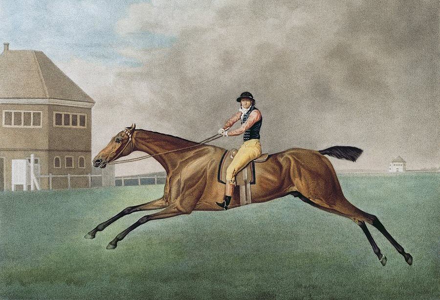 Baronet by George Stubbs