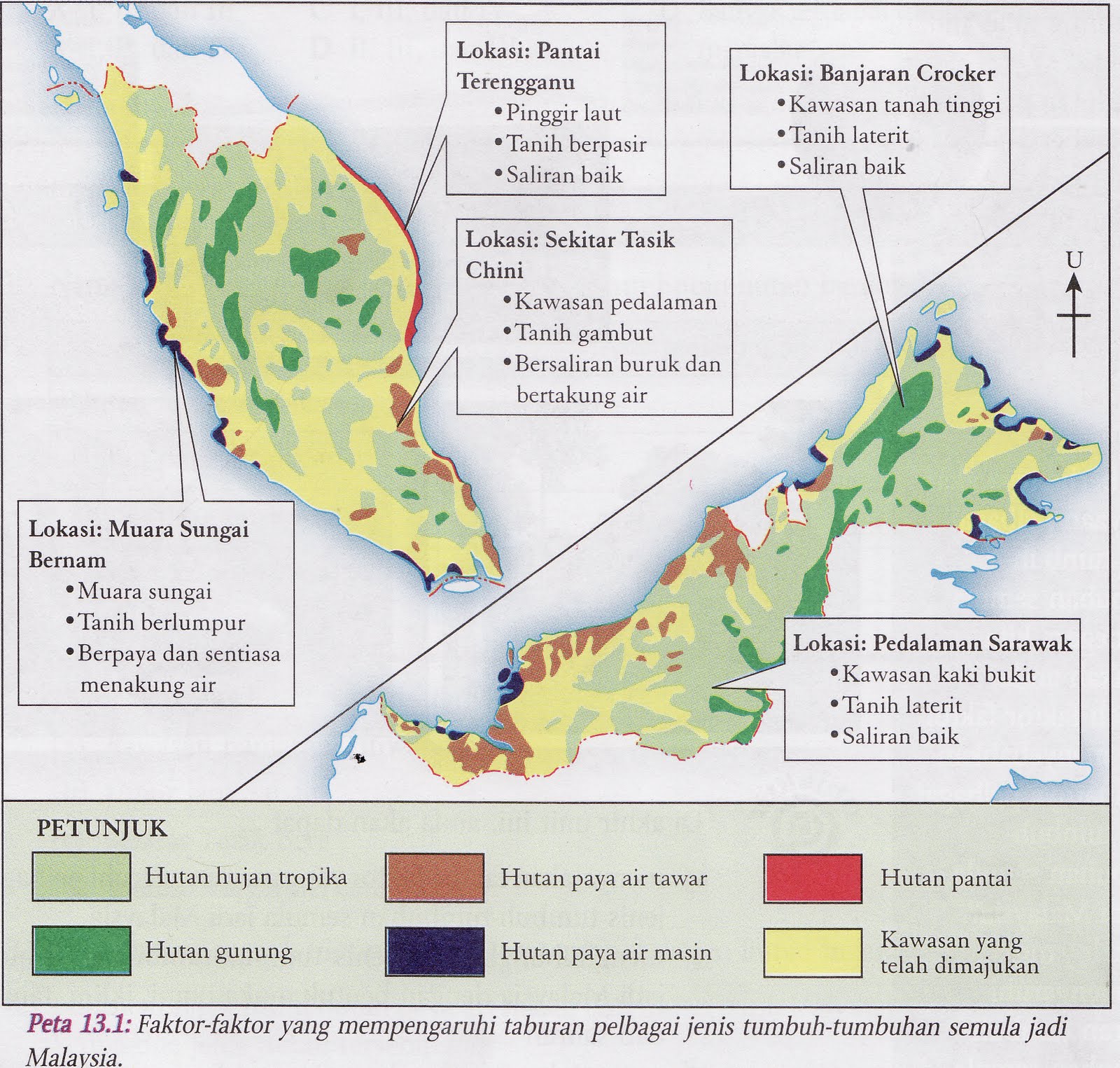 Tinta-tinta Ilmu: Hutan Hujan Tropika