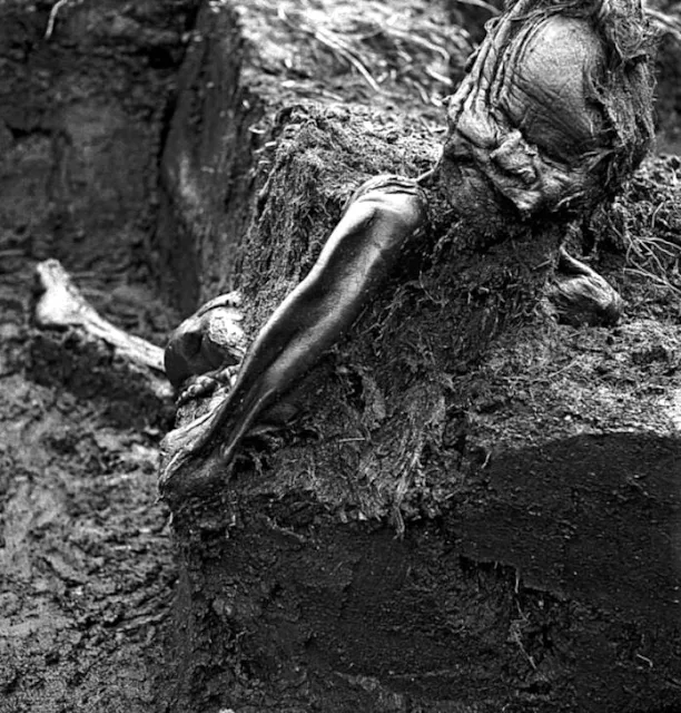 Corpos de pântanos semelhantes aos do Homem de Tollund foram descobertos em turfeiras em todo o norte da Europa.