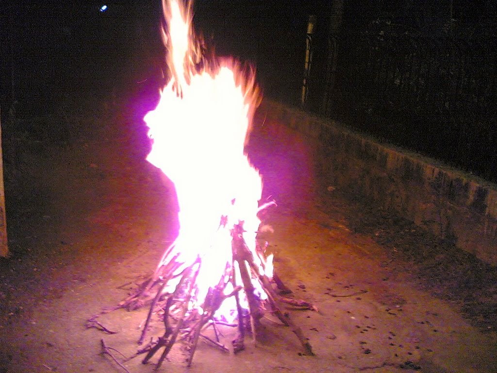 Bhogi 2015