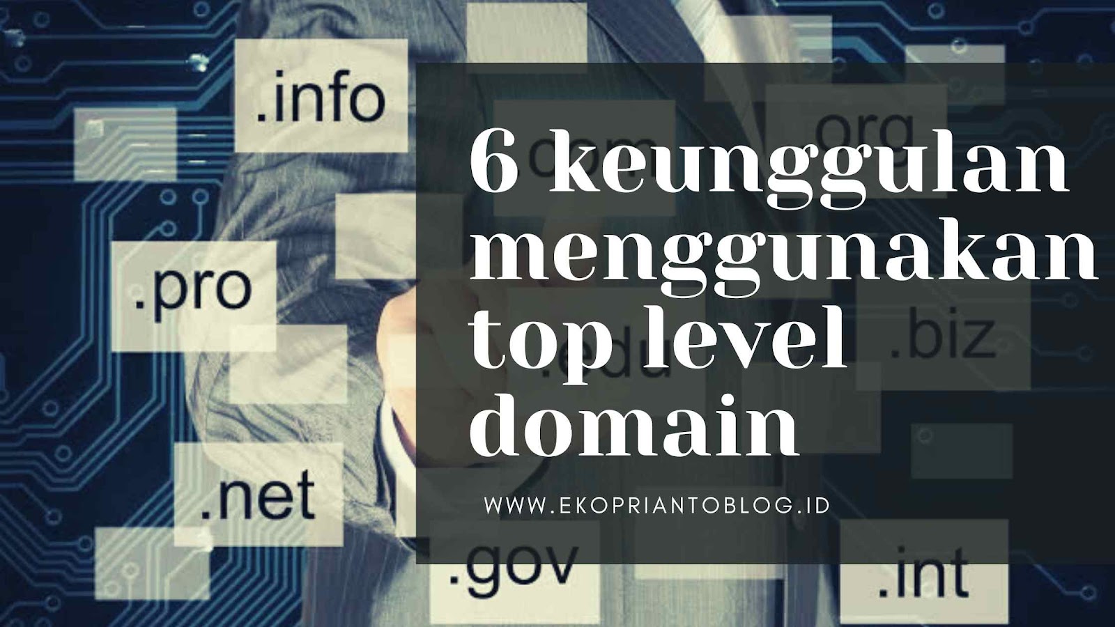 Keunggulan Menggunakan Top Level Domain