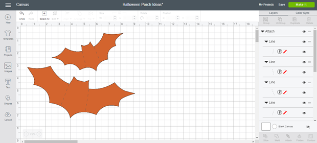 bats