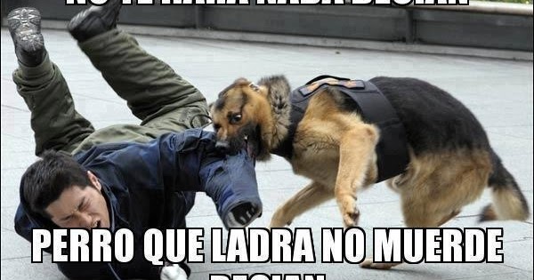 los mejores memes decian