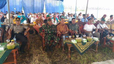 Panen raya Kedelai di Persawahan Desa Semampir, Kecamatan Pituruh