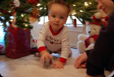 whitehead christmas-12