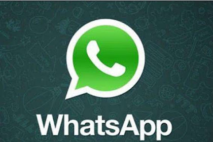 WhatsApp Messenger v2.17.351 apk