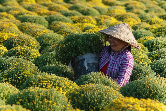 Impressive Moments Of Spring Vietnam 1