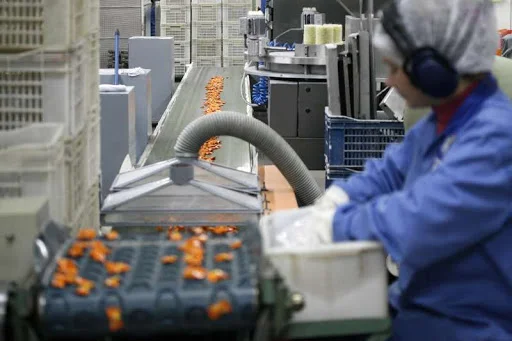 auxiliar de produção
