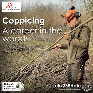 A person in a chainsaw helmet holding coppiced wood and a sharp tool next to a pile of coppiced wood in woodland. Text reads: Coppicing - a career in the woods