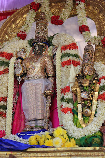 Sri Parthasarathy Perumal,Maanavala Maamunigal, Ippasi thirumulam,Satrumurai Venkata KRishnan,Purappadu, 2019, Video,Divya Prabhandam,Triplicane,Thiruvallikeni,Utsavam,