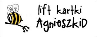 http://diabelskimlyn.blogspot.com/2014/01/lift-kartki-agnieszkid.html