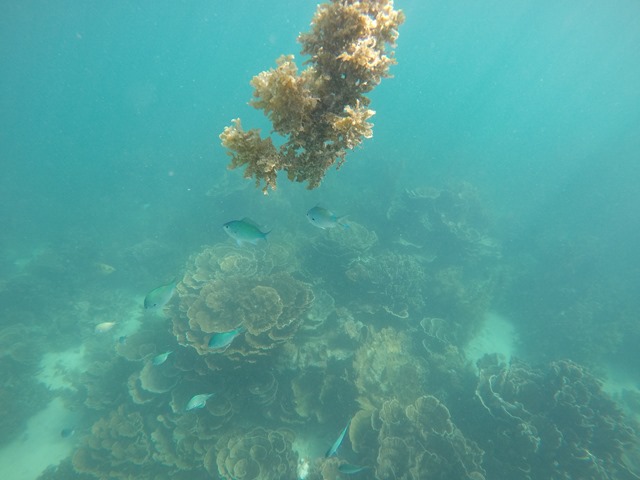 GOPR2266