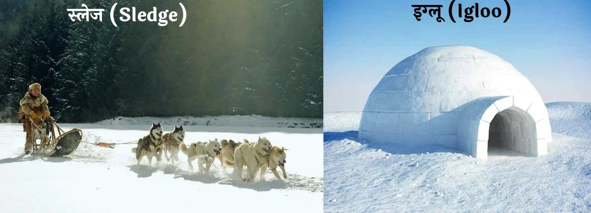What is Igloos and Sledge In Hindi