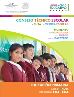 Consejo Tecnico Escolar Fase Intensiva Primaria