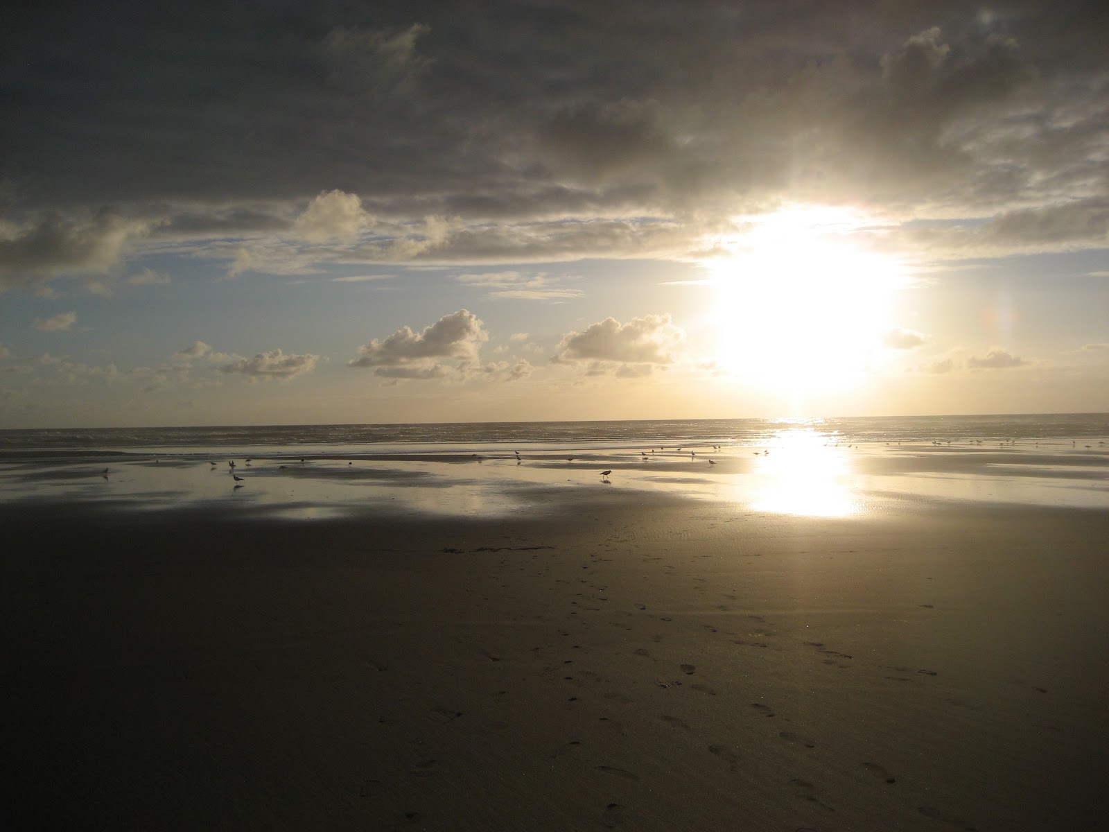 A beach barbecue at sunset,