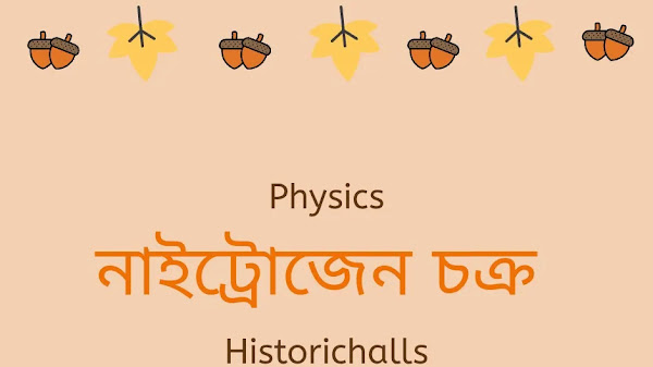 নাইট্রোজেন চক্র ( Nitrogen Cycle )