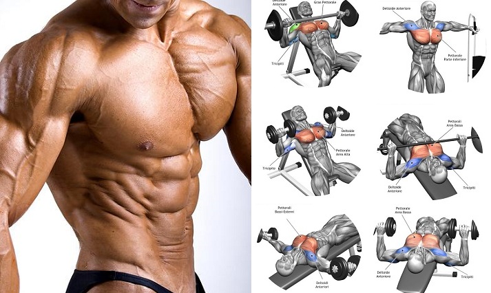 Gain Muscle and Increase Your Chest by One Inch in a Week - Bodydulding