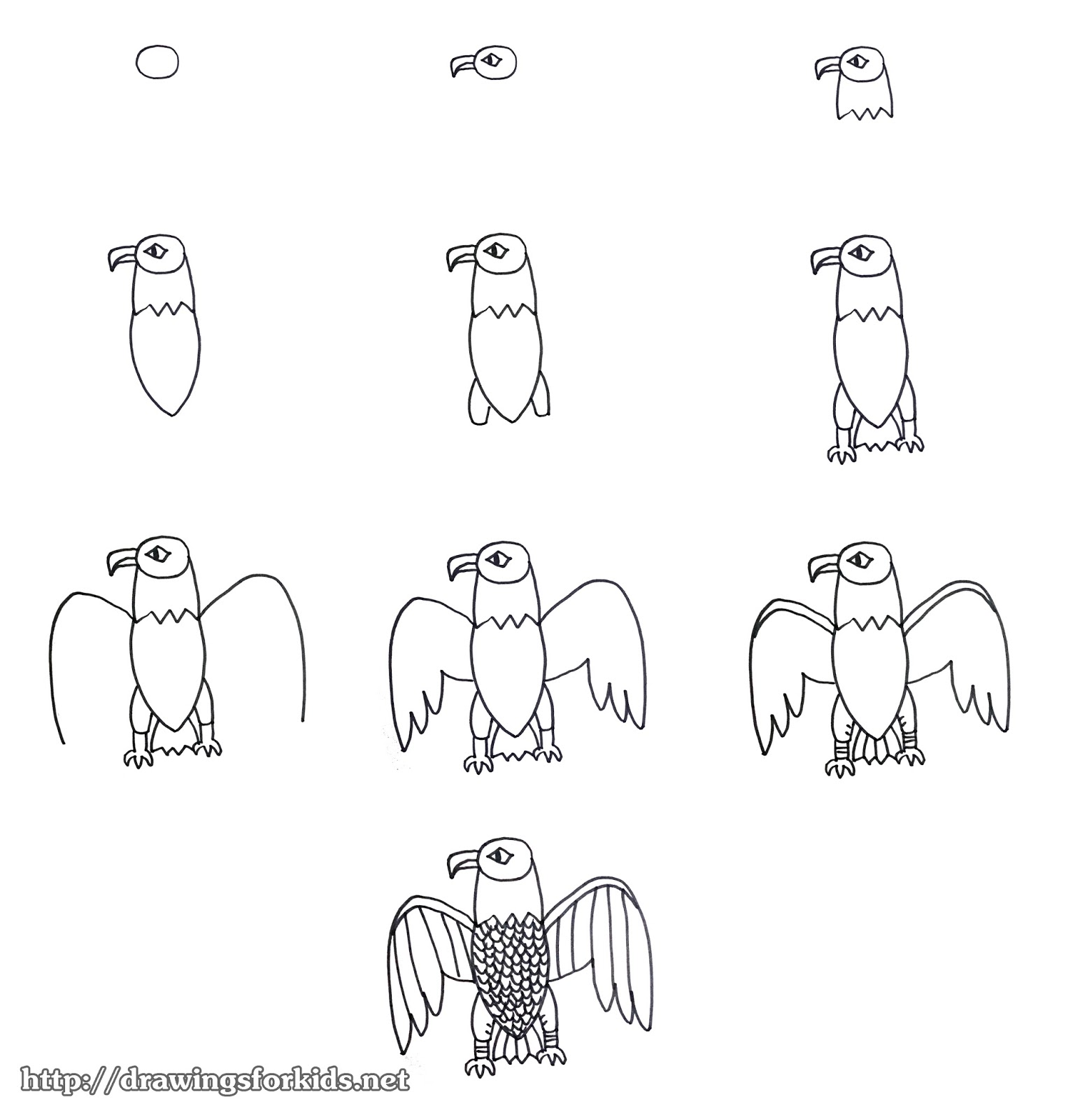 How to draw a Eagle for kids - drawingsforkids.net