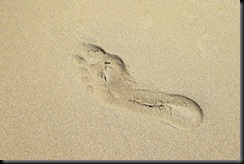 Footprint