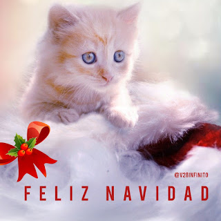 Imagen feliz Navidad y Próspero año nuevo 2021