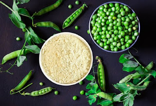 Pea Protein Market research