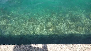 海中に見える捨て石の様子