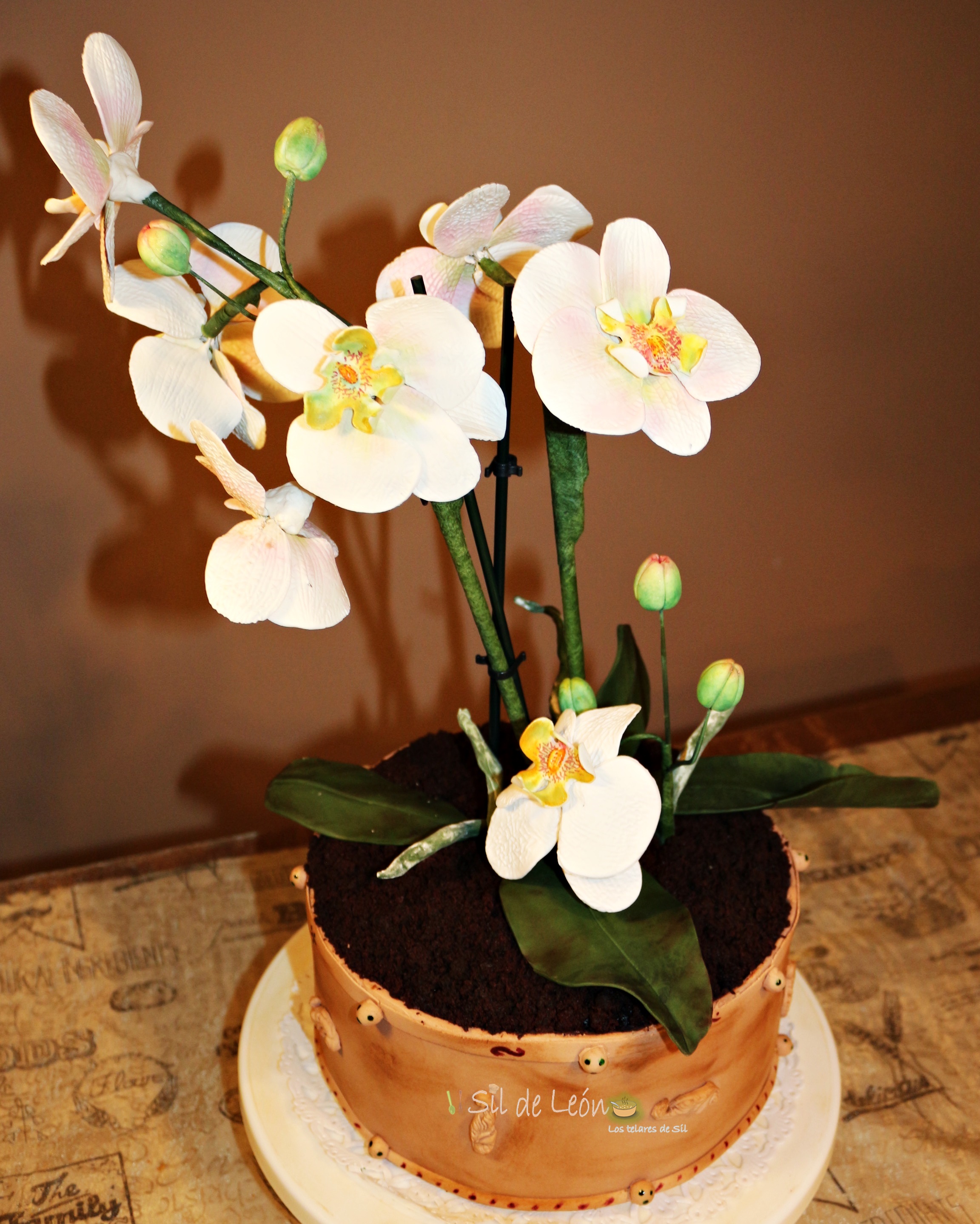 PASTEL ORQUÍDEA CON FONDANT LOS TELARES DE SIL