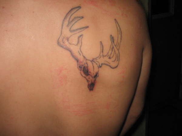 Deer Tattoos