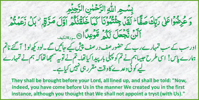 Daily Quran 