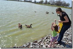 Feeding the Ducks 011
