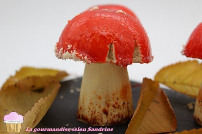 entremets-champignons-amaury-guichon