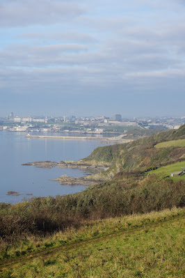 Blue sky, green cliffs down to blue water. Rocky coastline and city in distance