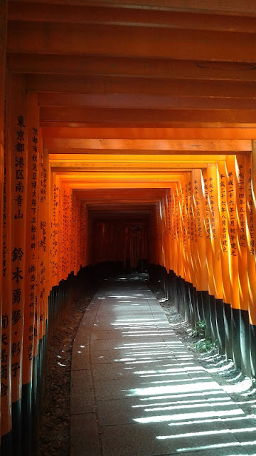 Fushimi Inari, toriis rojos